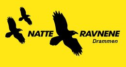 Natteravn logo
